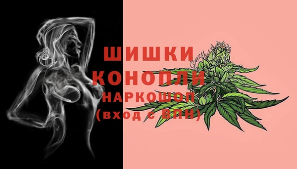 2c-b Верея