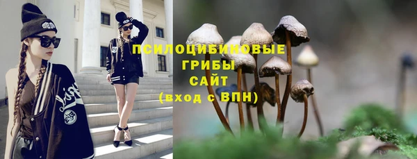 2c-b Верея