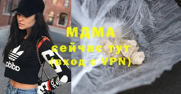 шишки Бородино