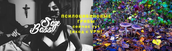 2c-b Верея