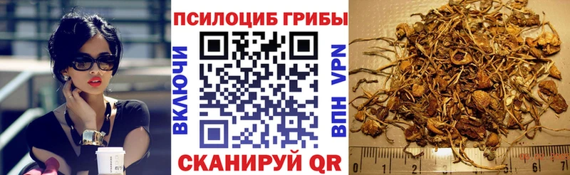Галлюциногенные грибы MAGIC MUSHROOMS  Монино 