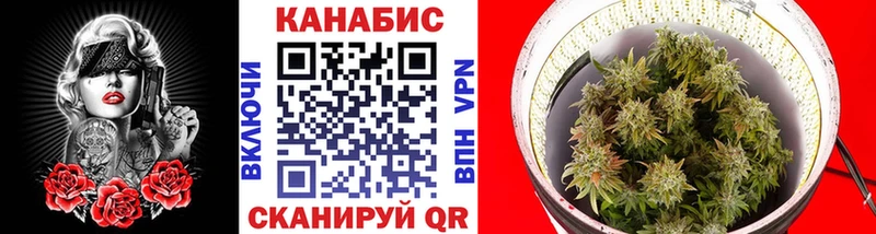 где купить   Монино  Каннабис семена 